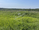 Продается участок. Острожное с,  