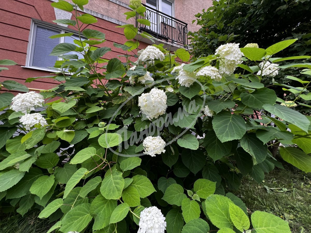 Продается квартира. Калуга, Георгия Амелина ул, 10 Продается квартира. Калуга, Георгия Амелина ул, 10